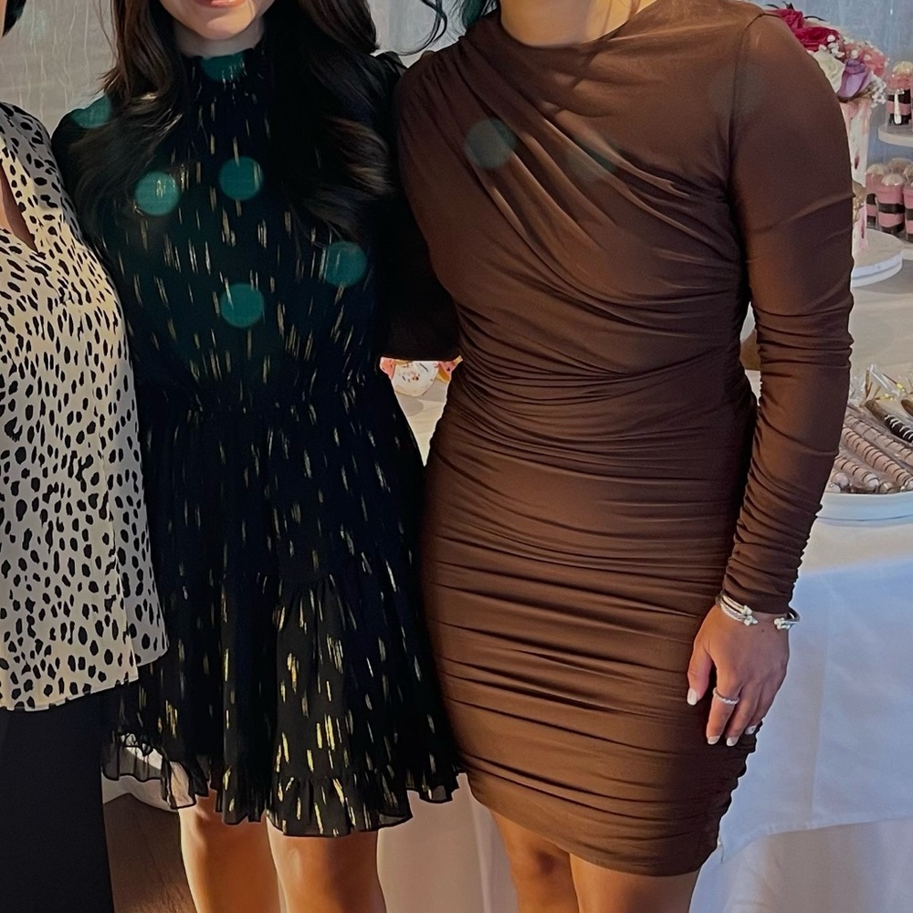 Brown long sleeved dress